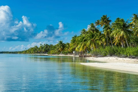 Palm fringed white sand beach in the turquoise waters of Tikehau