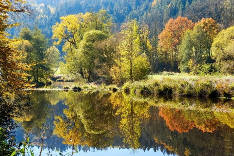 Ilz near Schrottenbaummuhle