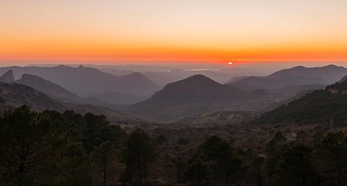 Wooded mountain landscape at sunset
