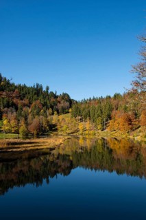 Lake with autumnal forest