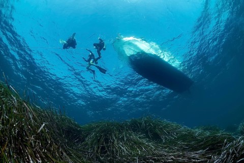 Divers dive on rope