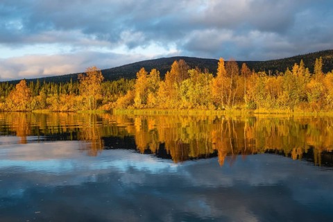 Autumn landscape