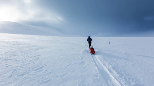 Ski tourer with pulka in the snow