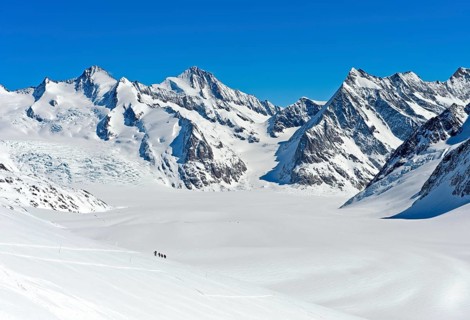 View from the Lotschenlucke over the snow-covered Grosser Aletschfirn towards Konkordiaplatz and the Bernese Alps
