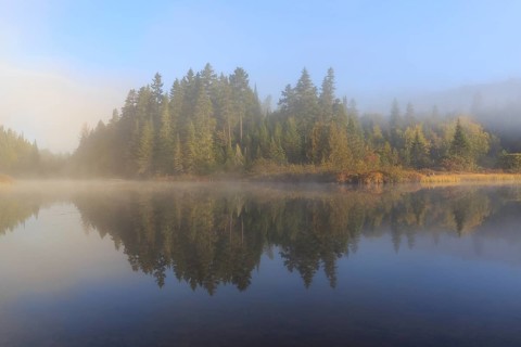 Morning fog