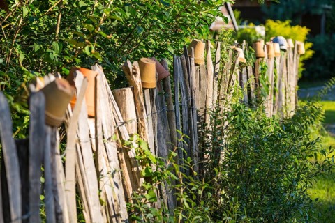 Paling fence decorated with flowerpots