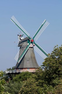 Gallery Dutchman
