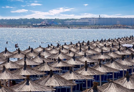 Reed umbrellas