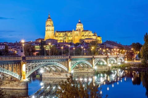 Cathedral with bridge over Tormes river