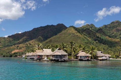 Bungalows by the sea with palm trees in front of green hills