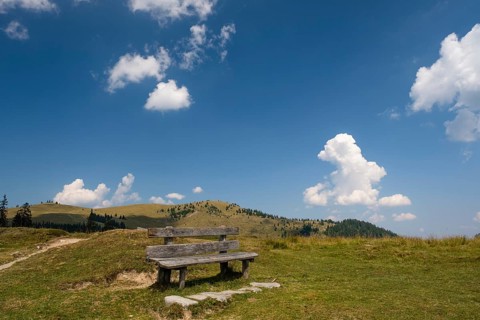 Lookout bench