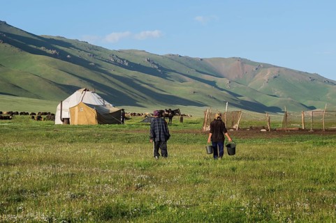 Nomad yurt camp