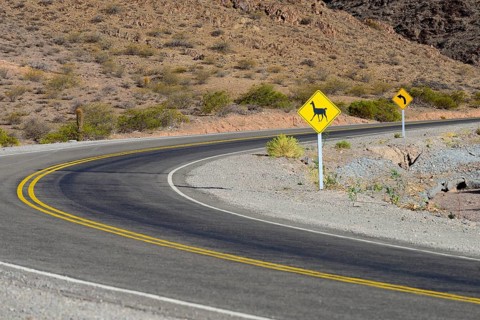 Warning sign Llama at the RP 33