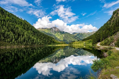 Reflection in the lake