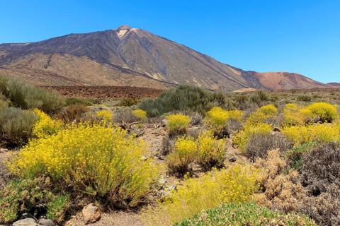 Volcano Pico del Teide