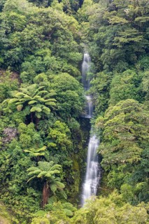 Small waterfall in the rainforest