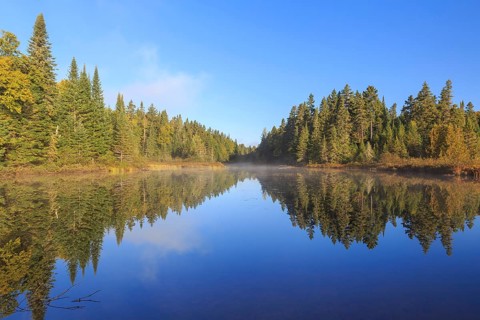 Water reflection in the lake