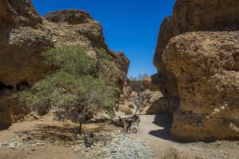 Sesriem Canyon