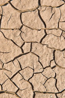 Drying cracks in clay soil