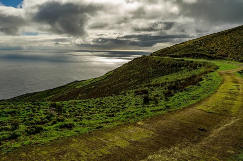 Moss-covered road at the volcano Caldeirao