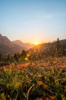 Sunrise in front of mountain silhouette with mountain meadow