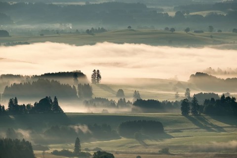 Morning fog