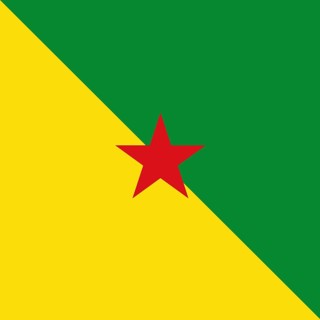 Official national flag of French Guiana