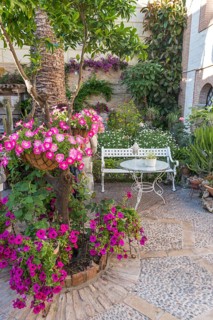 Flowers in a courtyard with a garden bench
