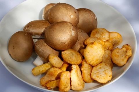 Various edible mushrooms in bowl