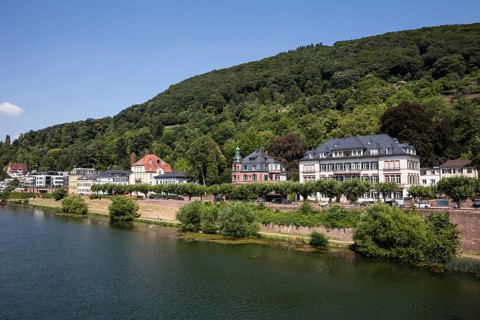 Houses on the banks of the Neckar
