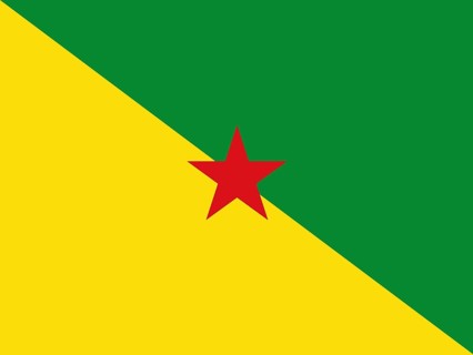 Official national flag of French Guiana