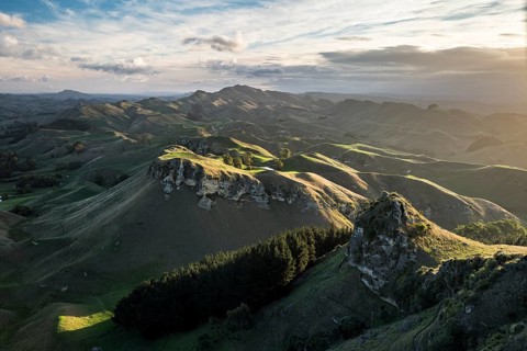 Te Mata Peak