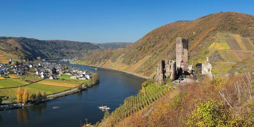 Ruins of Metternich Castle with vineyard