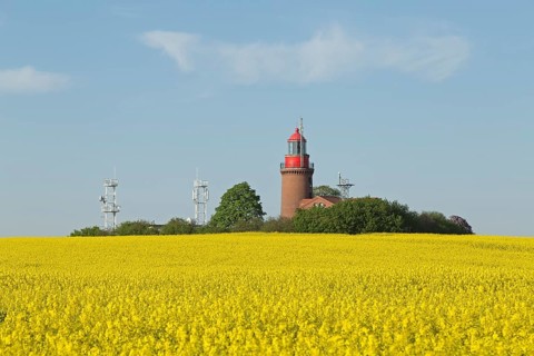 Lighthouse Buk with flowering rape field