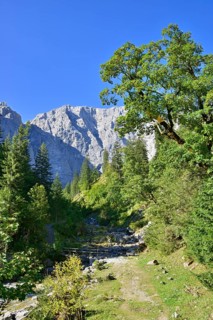 Enger-Grund