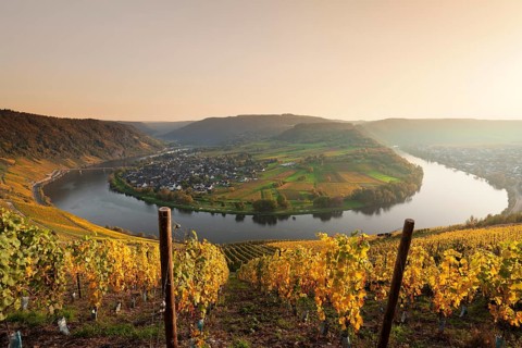 Overview of Moselschleife near Krov