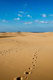 Sand dunes and blue sky