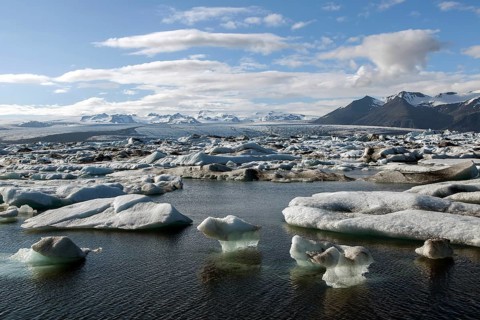 Small icebergs in glacial lake