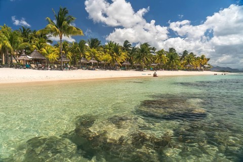 Dream beach with palm trees at the bay of Turtle Bay