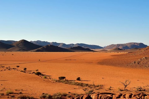 Desert Landscape