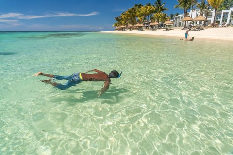 Snorkeling in the Turtle Bay