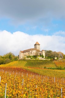 Castle Lichtenberg