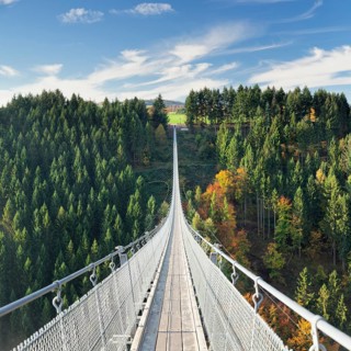 Hanging rope bridge Geierlay