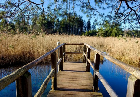 Pier at Quelltrichter