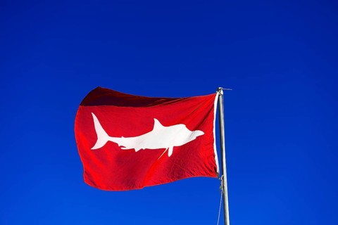 Red Flag signals high white shark danger