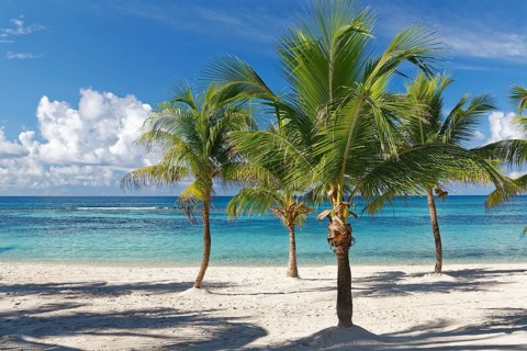 Dream beach