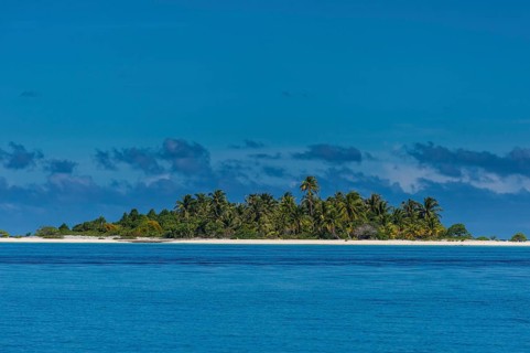 Palm fringed white sand beach in the turquoise waters of Tikehau