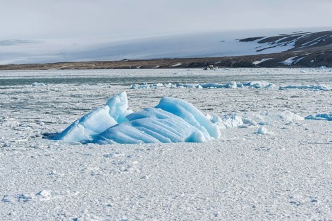 Palanderbukta