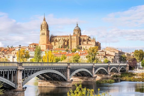 Cathedral with bridge over Tormes river