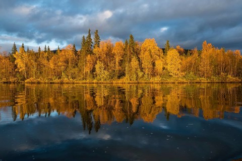 Autumn landscape